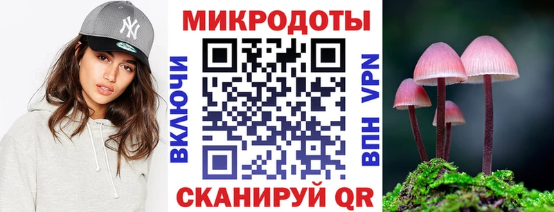 shop Telegram Наволоки Псилоцибиновые грибы Psilocybine cubensis купить