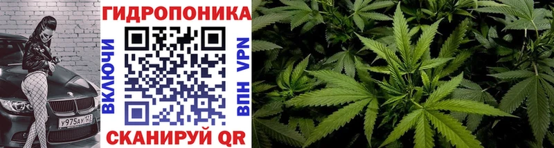 Канабис White Widow сайты даркнета телеграм Наволоки